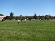 OTFL Gallery Image